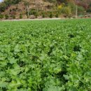 송백농장 이미지