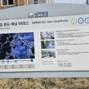 버스터미널 건너편 이미지