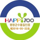 삼채뿌리 분말(가루) [삼채복용법-명현현상-부작용-평창삼채]