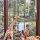 대식당(마에스트로) 이미지