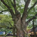 변산고을 | 비오는 날의 ‘부안(扶安)’을 탐하다