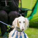 패션뜨개질 이미지