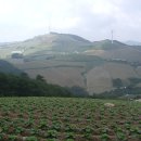 오장폭포 이미지