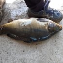 산유낚시터 이미지