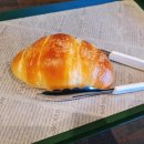 앙갤러리 카페 이미지