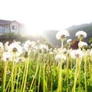 하얀농장 이미지