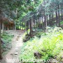 두동편백마을 이미지