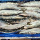 청어람로 이미지