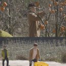 안재현 카카오 검색결과