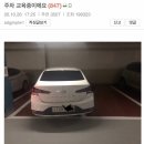참교육 이미지