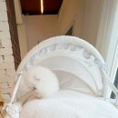 화이트켄넬(white-kennel) 이미지