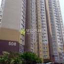 왕버들로 이미지