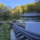 도림사[북] 티스토리
