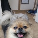 우리콩 이미지