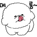 댕스파크 이미지