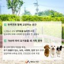 서산시동물보호센터 이미지