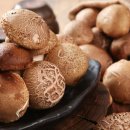 버섯의 기능성물질, 어떻게 먹어야 효과적일까 이미지