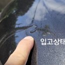 영덴트세차 이미지