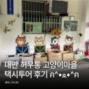 대만 허우통 고양이마을 택시투어 후기 고양이 집사가 행복했던 힐링 코스 추천