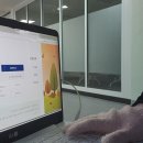 본 동물 건강검진영상센터 이미지