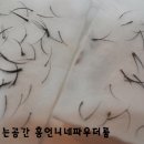 홍언니네파우더룸 이미지
