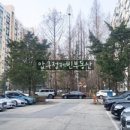 압구정-123 이미지