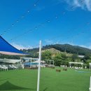 아로하스토리 이미지