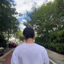 토라티 네이버블로그