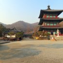 창건농장3 이미지