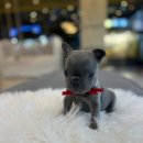 프불하우스 이미지