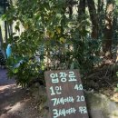 숲에서 | 제주스냅촬영 비밀의 숲에서 한라봉스냅 11월 촬영후기