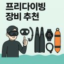 프리다이빙 장비 추천 │ 초보자부터 실전까지 단계별 장비 완전 정복