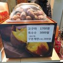 세븐일레븐 수원터미널점 | 원조 델리만쥬를 찾아라!! 수원버스터미널점 델리만쥬 방문. 먹은 후기