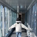 인쥬얼 | 싱가포르항공 SQ607 기내식 탑승 후기 창이공항 쥬얼창이 이동