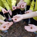 두솔유치원 이미지