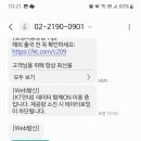 파바로티식당 네이버블로그