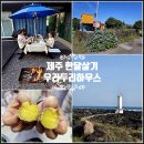 노랑통닭 장기점 | 혼자 제주 한달살기 숙소 비용 제주도 보름살기 독채 비용 후기 저녁 식사
