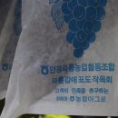 와룡농장 이미지