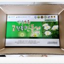 양구 토종 흰꽃민들레 진액 2개월 째 복용 중~~