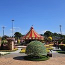 함평엑스포공원 이미지