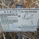 대산몰 이미지
