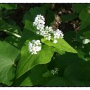 다산 행정사 사무소 이미지