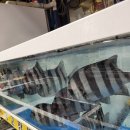 대포중앙로 이미지