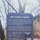 숲속쉼터 티스토리