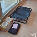 양양오션뷰애견펜션바다빛무지개 | [양양펜션/양양애견동반펜션/양양애견]양양오션뷰애견펜션 바다빛무지개