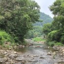 미르의 뜰 이미지