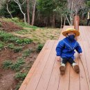 제주맘모아외과의원 이미지