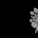 호텔 린 이미지