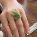 토끼먹골 | 먹골 애견 동반 주차 가능 카페 옐로우카멜 방문 후기~