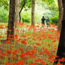 한대앞역 이미지